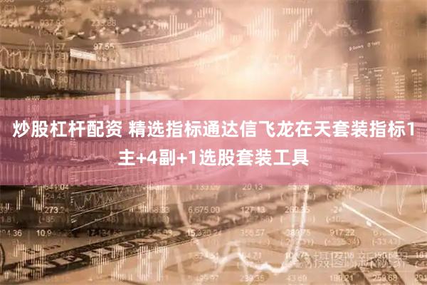 炒股杠杆配资 精选指标通达信飞龙在天套装指标1主+4副+1选股套装工具