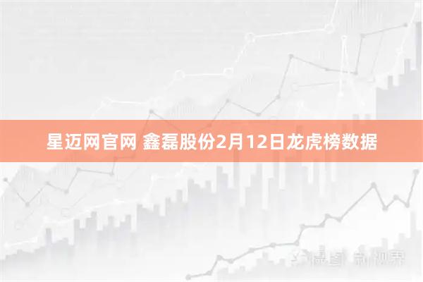 星迈网官网 鑫磊股份2月12日龙虎榜数据